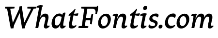 Raritas Medium Italic