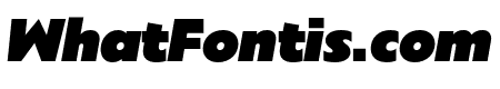 Sigmund PRO Bold Italic