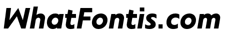 Sigmund PRO Medium Italic