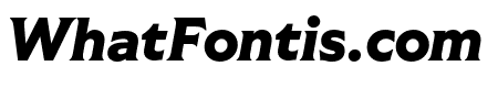 Tiller Heavy Italic