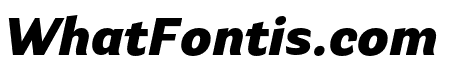 Parry Grotesque Black Italic