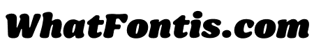 Sirenia Black Italic