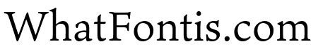 Ten Mincho Text Regular