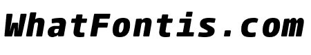 ParadroidMono Soft ExtraBold Italic