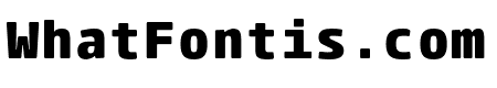ParadroidMono Soft ExtraBold