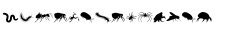 Creepy Crawlies