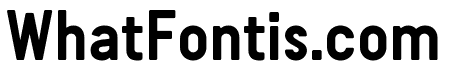 Guida Bold Pro