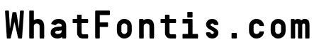 Guida Mono Bold Pro