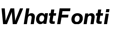 Fold Grotesque Bold Italic Pro