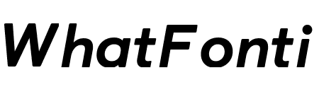 Castledown Heavy Italic Pro