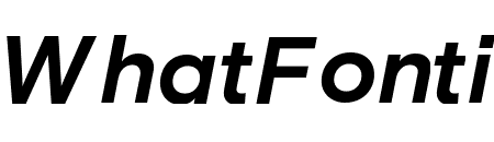 Basis Grotesque Bold Italic Pro