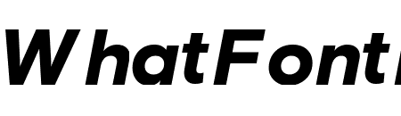Basis Grotesque Black Italic Pro