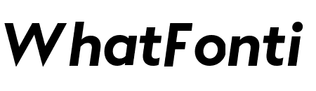 Apta Bold Italic Pro