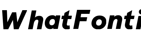 Apercu Black Italic Pro