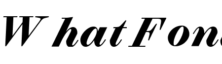 Selva Black Italic Pro