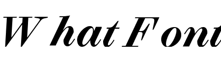 Selva Bold Italic Pro