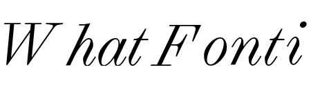 Selva Light Italic Pro