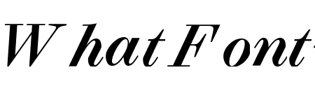 Selva Medium Italic Pro