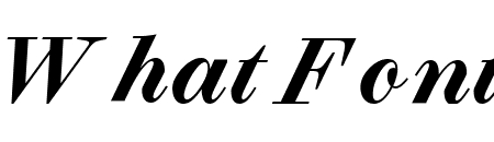 Selva Script Bold Pro