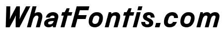 Bold Italic