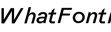 Book Italic