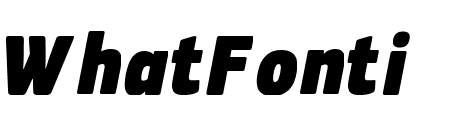PFSquareSansCondPro-XBlackItalic