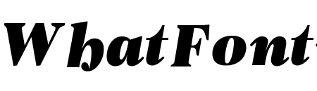 PFRegalTextPro-UBlackItalic