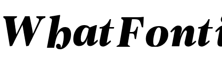 PFRegalTextPro-BlackItalic