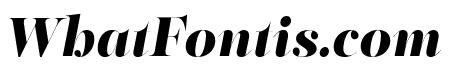 PFRegalFinessePro-BlackItalic