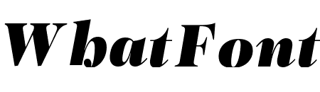 PFRegalDisplayPro-UBlackItalic