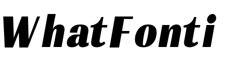 PF Marlet Text XBlack Italic