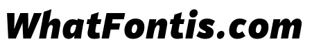 PFHighwaySansPro-BlackItalic