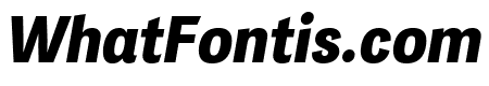 PFDasGroteskPro-BlackItalic