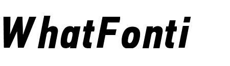 PFDINTextCondPro-BoldItalic