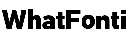 PFDINTextPro-Black