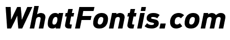 PFDINTextPro-BoldItalic