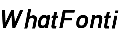 PFDINTextPro-MediumItalic