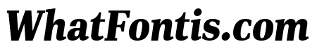 PFDINSerif-BlackItalic