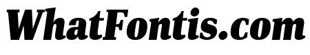 PFDINSerif-XBlackItalic