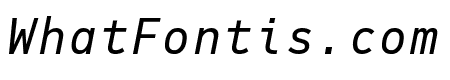 PFDINMonoPro-Italic