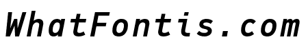 PFDINMonoPro-MediumItalic