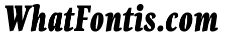 PFCentroSerifComp-BlackItalic