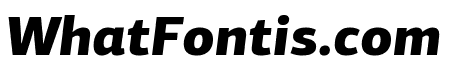 PFCentroSansPro-BlackItalic