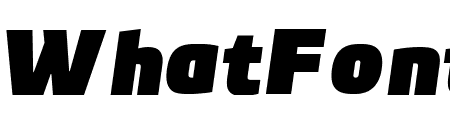 PFBenchmarkPro-UBlackItalic