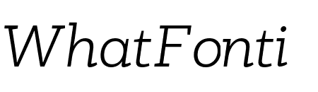 PFBagueSlabPro-LightItalic