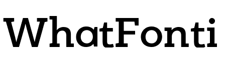 PFBagueSlabPro-Medium