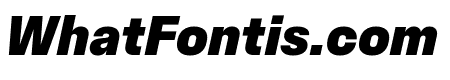 FabricSans BlackItalic