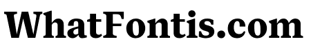 FabricSerif Bold