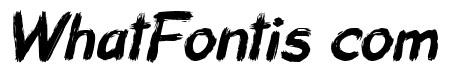 Wild Black Italic