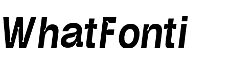 NotchGrotesk CndsdBolditalic